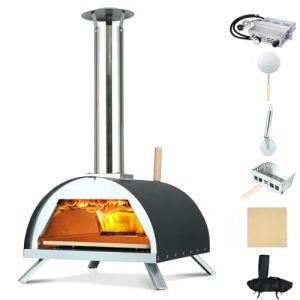 Hello.Dr 13" Multi-Fuel Pizza Oven: Portable Wood